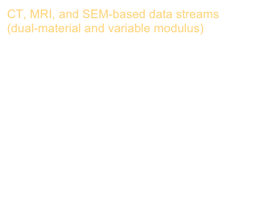 CT, MRI, and SEM-based data streams
(dual-material and variable modulus)

From improved diagnostics to presurgical planning: High-resolution functionally graded multimaterial 3D printing of biomedical tomographic data sets
Ahmed Hosny, Steven J Keating, Joshua D Dilley, Beth Ripley, Tatiana Kelil, Steve Pieper, Dominik Kolb, Christoph Bader, Anne-Marie Pobloth, Molly Griffin, Reza Nezafat, Georg Duda, Ennio A Chiocca, James R Stone, James S Michaelson, Mason N Dean, Neri Oxman, James C Weaver

3D Printing and Additive Manufacturing 5 (2), 103-113