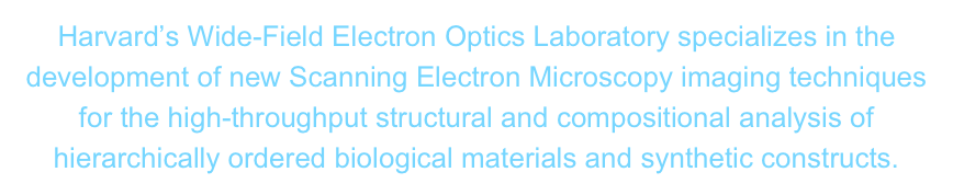 Harvard’s Wide-Field Electron Optics Laboratory specializes in the development of new Scanning Electron Microscopy imaging techniques for the high-throughput structural and compositional analysis of hierarchically ordered biological materials and synthetic constructs.  