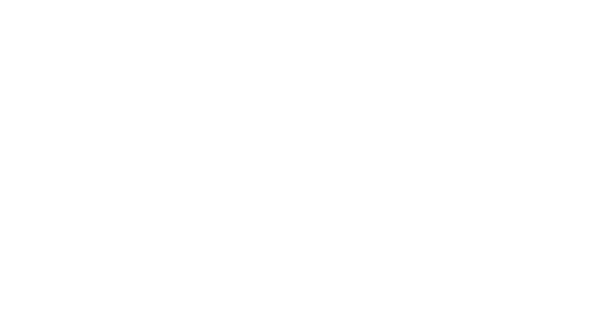 Wide Field Scanning Election Microscopy (WF-SEM) permits whole specimen imaging of objects measuring up to 10 cm across with almost a 0.5 m depth of field, revealing levels of detail never before possible using standard optical imaging techniques, and with greater surface detail than is achievable using tomography-based approaches.  Through manipulation of the incident beam geometry, we can achieve these capabilities with no image stacks or tiling, thus permitting the visualization of multiple levels of structural hierarchies simultaneously in a single image.